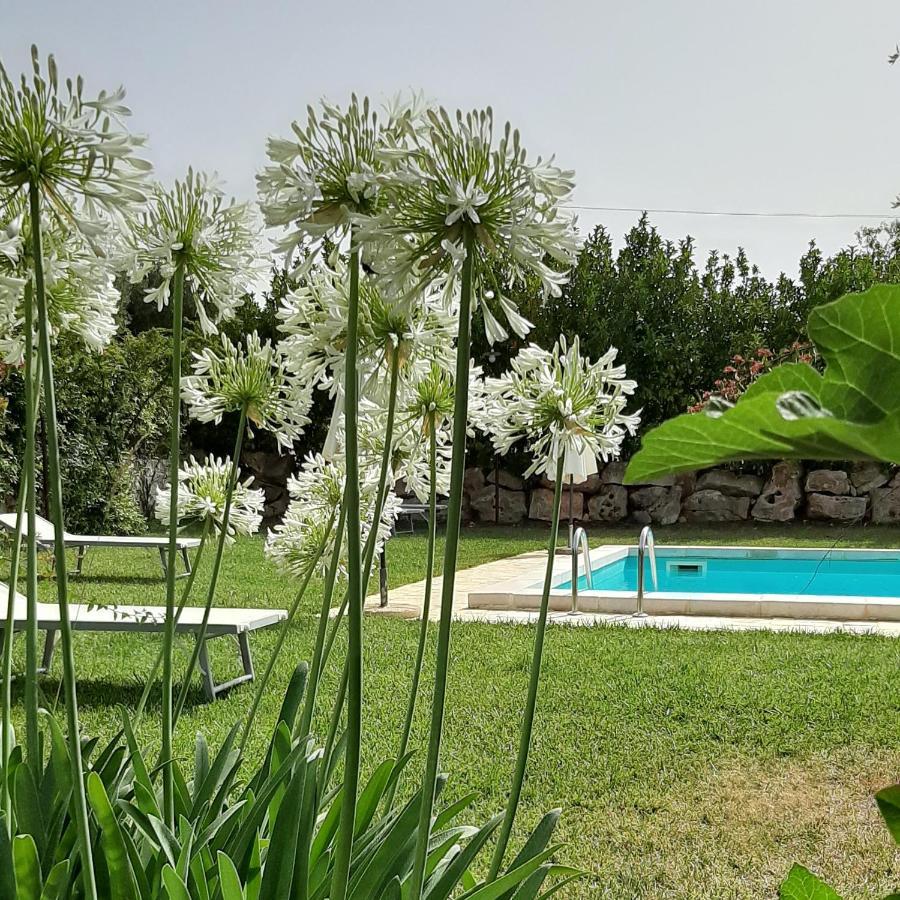 B&B Masseria Sant'Angelo Antonelli Bagian luar foto
