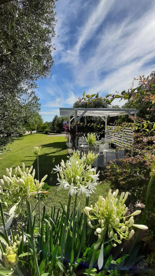 B&B Masseria Sant'Angelo Antonelli Bagian luar foto